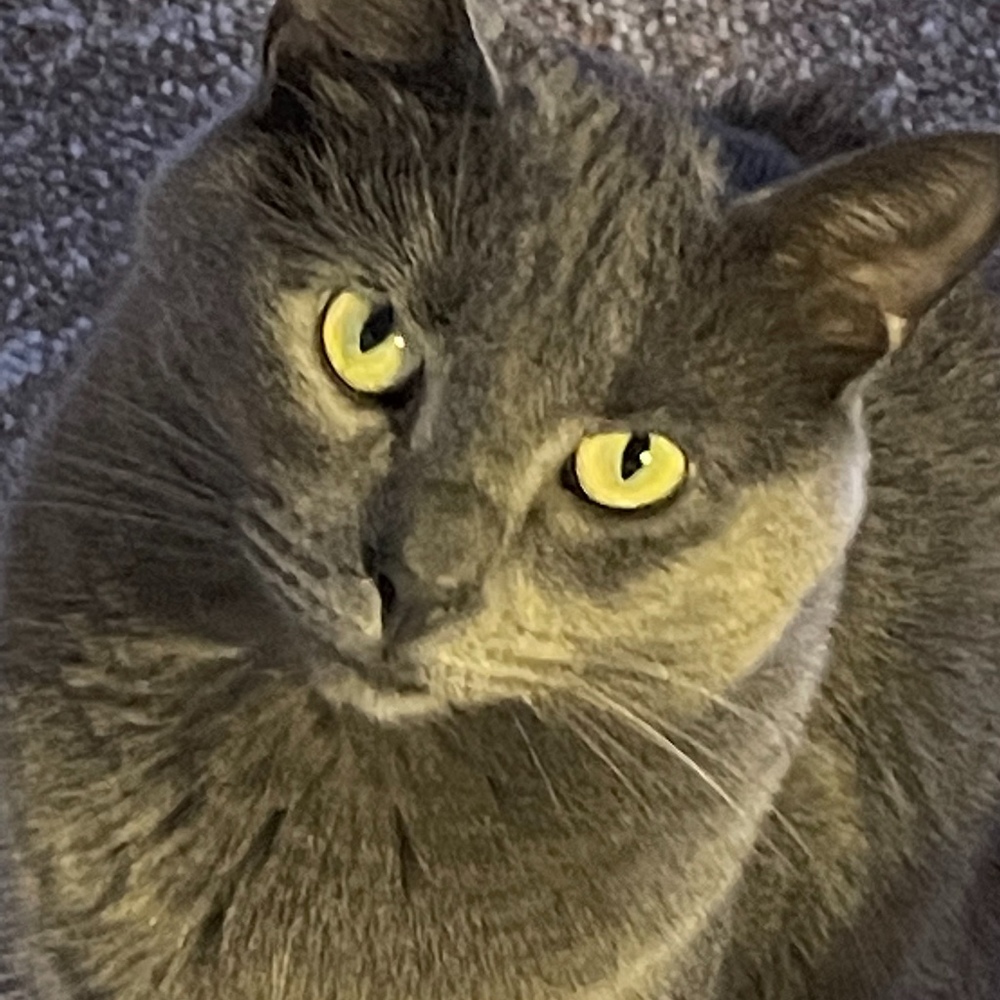 Meet your Posher, Kathy